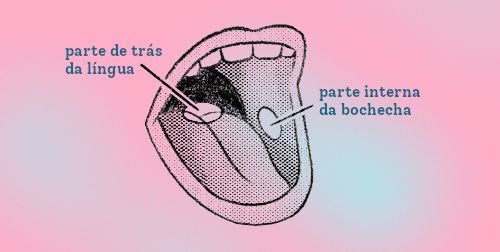 ilustração em preto e branco de boca aberta com legendas indicando a parte de trás da língua e a parte interna da bochecha